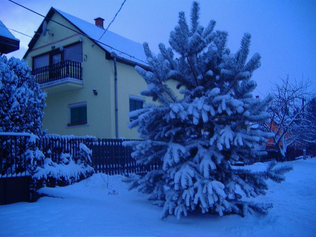 Elizabeth Vendégház Mezőkövesd Exterior foto